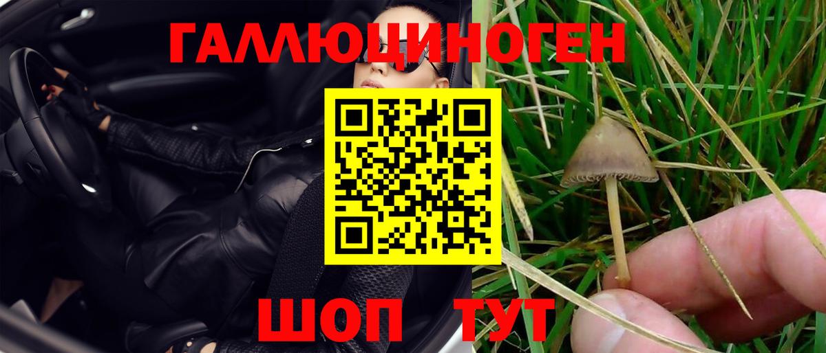 Саранск  Псилоцибиновые грибы мухоморы  Вход с VPN 
